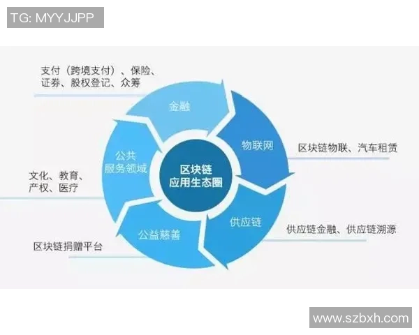 反洗钱系统实时监控技术的创新与应用探索分析